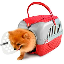 Фото Переноска для тварин пластикова Tour Бордовий