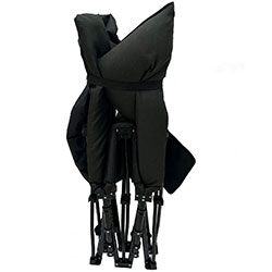 Фото Похідне ліжко Forest Lux (Арт. RA 5520)