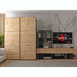 Фото Шафа купе G-Caiser 2 ДСП 3 частини 160х60х240 Графіт