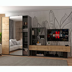 Фото Шафа купе G-Caiser 1 ДСП 1 дзеркало 3 частини 160х60х240 Графіт