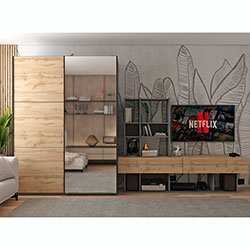 Фото Шафа купе G-Caiser 1 ДСП 1 дзеркало 3 частини 160х60х240 Графіт