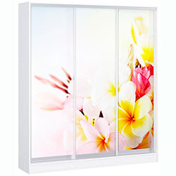 Фото Шафа-купе Стандарт 1800x450