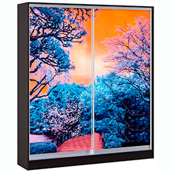 Фото Шафа-купе Стандарт 1800x450