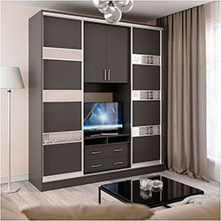 Фото Шафа-купе Кіноман 2100х450