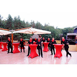 Фото Стіл коктельний складаний ДСП 16 ДМ 8-110 КТР