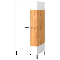 Шафа 2D Santes / Сантес Білий + Дуб Крафт Золотий