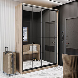 Фото Шафа-купе 1000х450 Loft