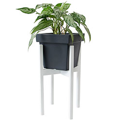 Фото Підставка металева під квіти Альба Біла (4010369)