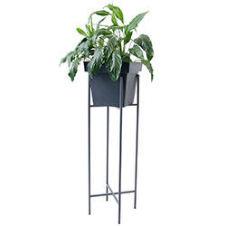 Фото Підставка металева під квіти Монстера Графіт (4010361)