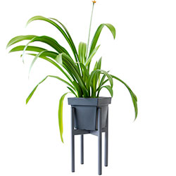 Фото Підставка металева під квіти Альба Графіт (4010352)