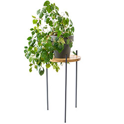 Фото Підставка металева під квіти Мирт Графіт (4010358)