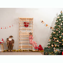 Фото Шведська стінка (AAIJ001)