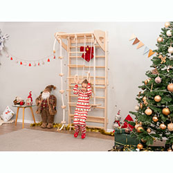 Фото Шведська стінка (AAIJ001)