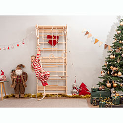 Фото Шведська стінка (AAIJ001)