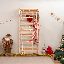 Фото Шведська стінка (AAIJ001)