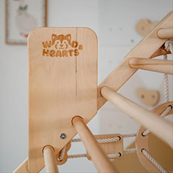 Фото Ігровий комплекс Будинок з гіркою (AAKO001)