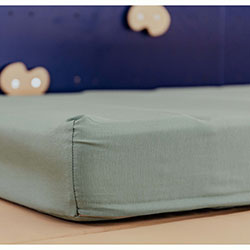 Фото Чохол на 3 блоки Евкаліптовий (AAUQ-3-065)