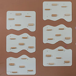  6 секцій (aauz008_1) 